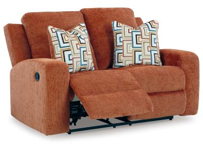 Signature Design by Ashley Danum Reclining Loveseat - 3880786C