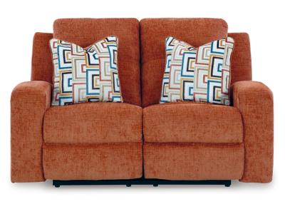 Signature Design by Ashley Danum Reclining Loveseat - 3880786C