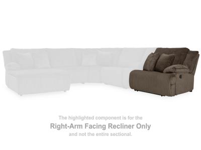 Signature Design by Ashley Top Tier Right-Arm Facing Recliner - 9270541