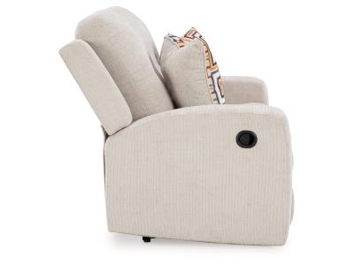Signature Design by Ashley Danum Reclining Loveseat - 3880586C