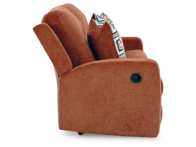 Signature Design by Ashley Danum Reclining Sofa - 3880781C
