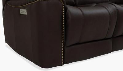 Palliser Power Reclining Sofa with Headrest and Lumbar - Hastings Sofa