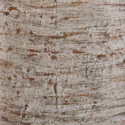 Signature Design by Ashley Wellbridge Vase - A2000609