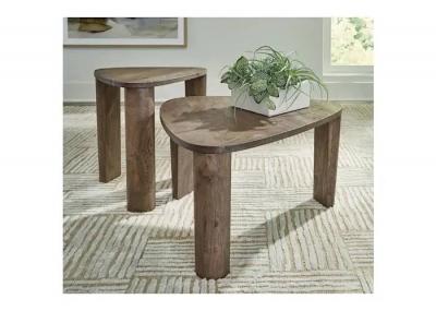 Signature Design by Ashley Reidport Accent Coffee Table (Set of 2) - A4000604