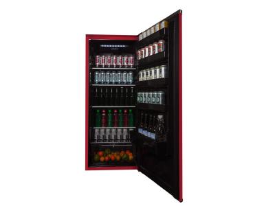 24" Danby 11 Cu. Ft. Capacity Contemporary Classic Apartment Size Refrigerator - DAR110A3LDB