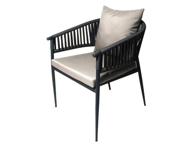 Fig & Cherry Modern Powder Coated Aluminum Frame Chair - Formo Chair