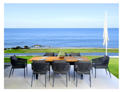 Fig & Cherry Modern Powder Coated Aluminum Frame Chair - Formo Chair