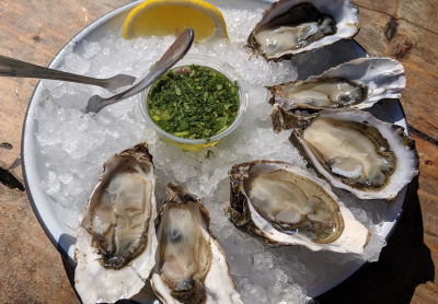 15" Perlick Compliant Series Cubelet Ice Maker With Right Hinge Stainless Steel Door - HA15CUR